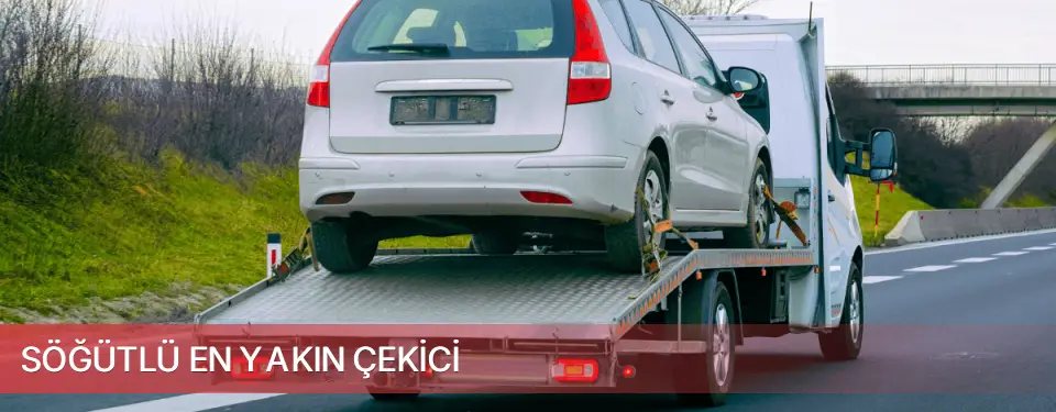 Söğütlü İlçemi En Yakın Çekici