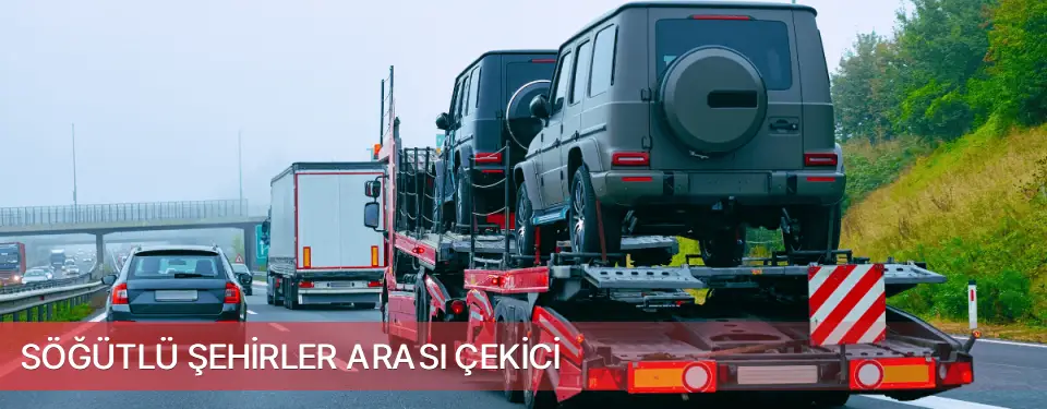 Söğütlü İlçemi Şehirler Arası Çekici