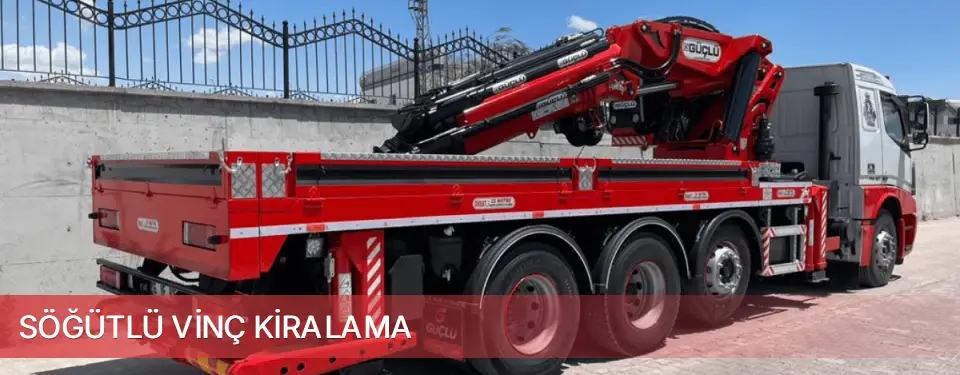 Söğütlü İlçemi Vinç Kiralama
